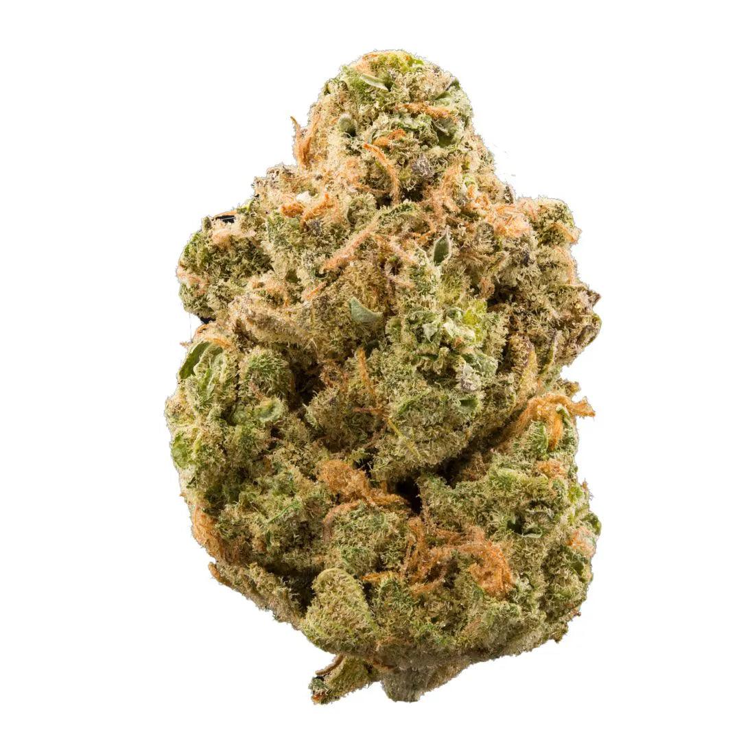 Critical Sensi Star - CBD Indoor - Puff Land CBD